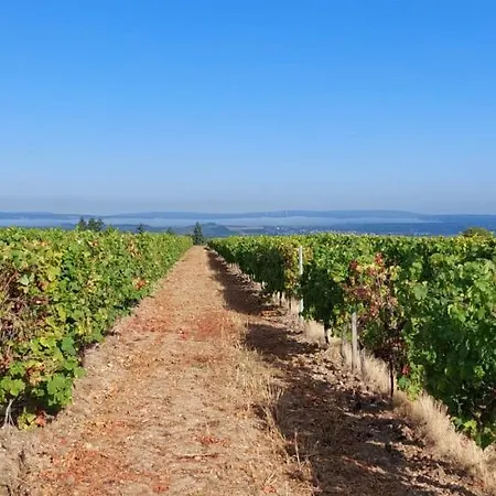 Casa Kuehn Apartment