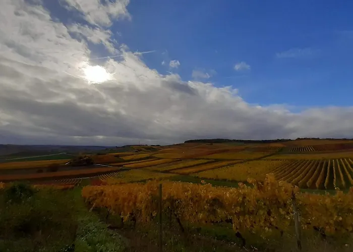 Apartamento Casa Kuehn