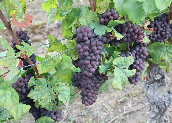 Casa Kuehn Apartamento