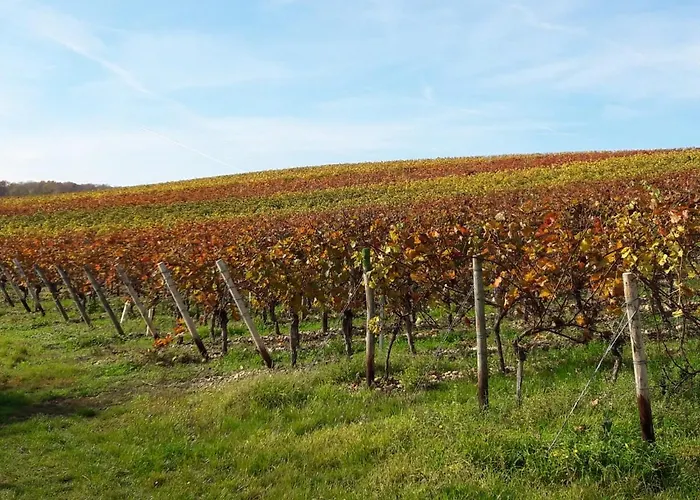 Apartamento Casa Kuehn *