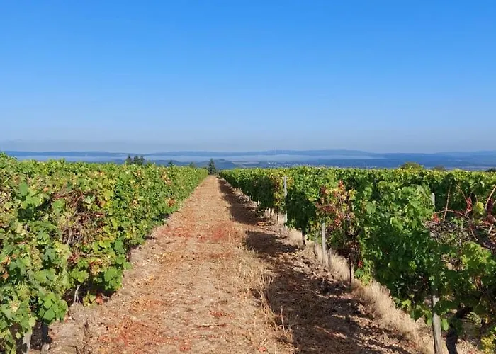 Casa Kuehn Apartamento